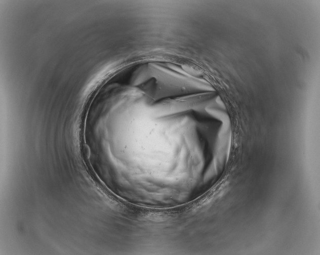 X0000112460341200908311334