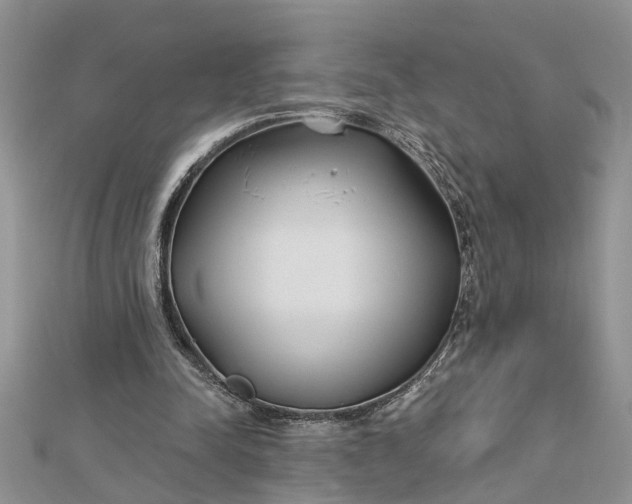 X0000112460342200908311334