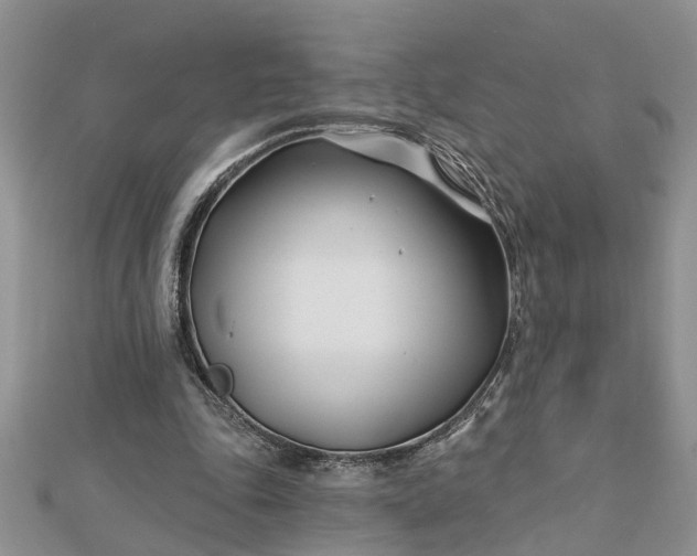 X0000112460343200908311334