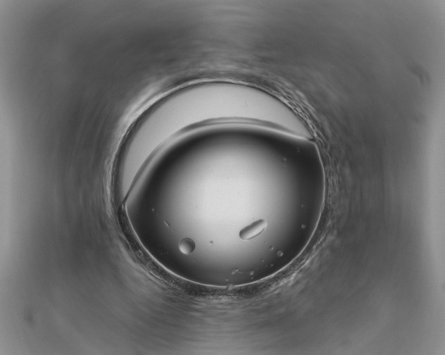 X0000112460344200908311334