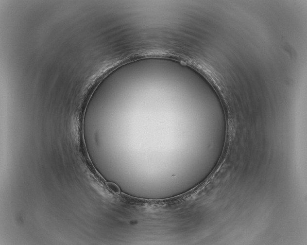 X0000112460345200908311334