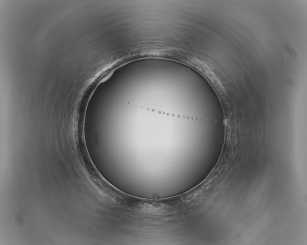 X0000112460346200908311334