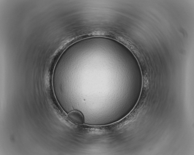 X0000112460347200908311334