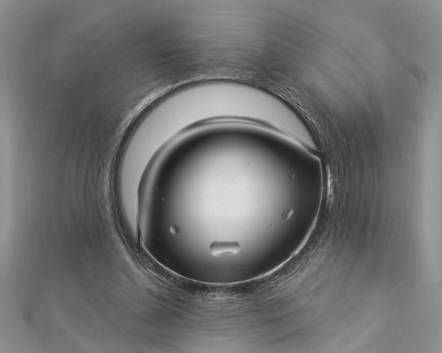 X0000112460348200908311334