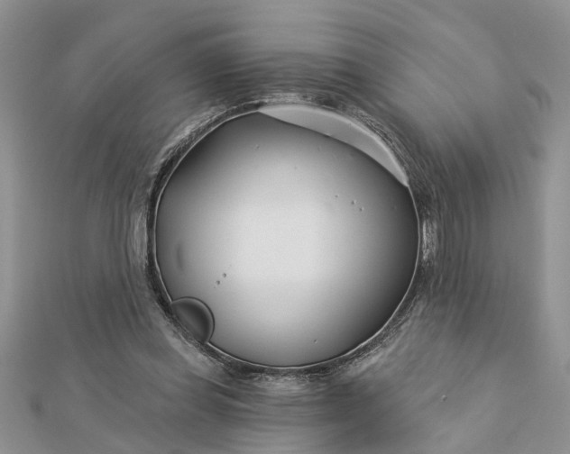 X0000112460349200908311334