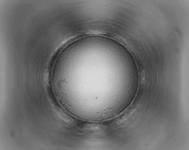 X0000112460351200908311334