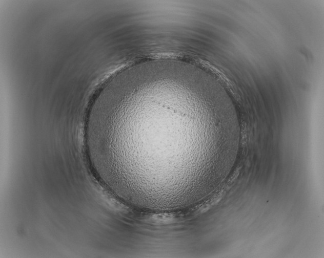 X0000112460353200908311334