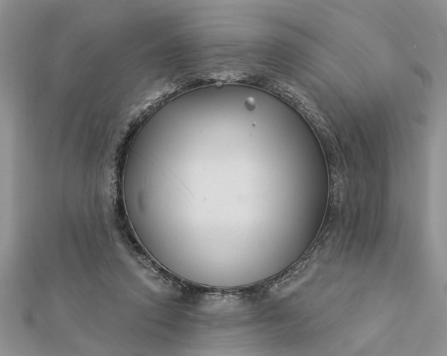 X0000112460354200908311334