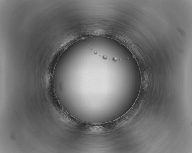 X0000112460355200908311334