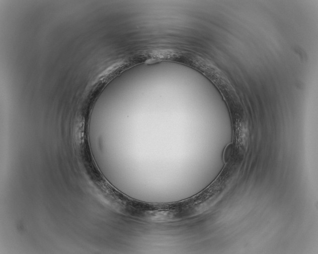 X0000112460356200908311334