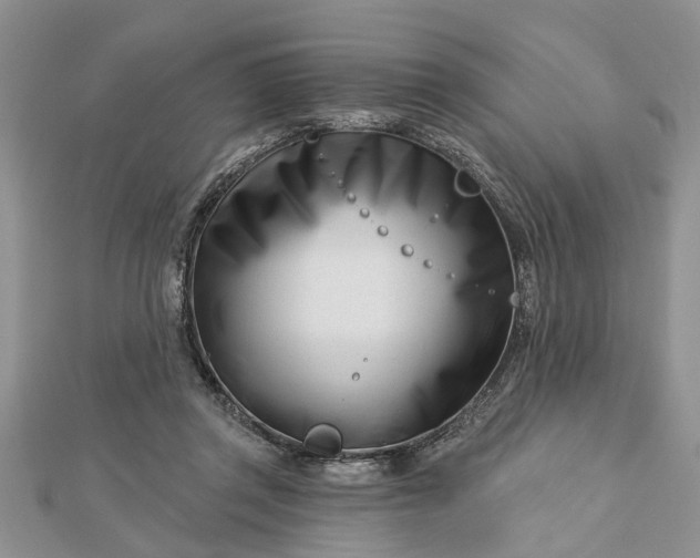 X0000112460357200908311334