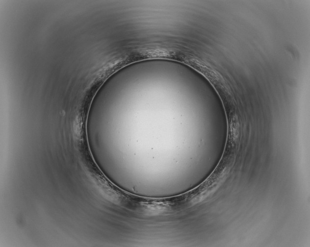 X0000112460359200908311334