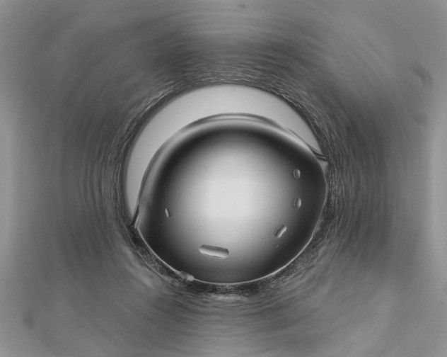 X0000112460360200908311334