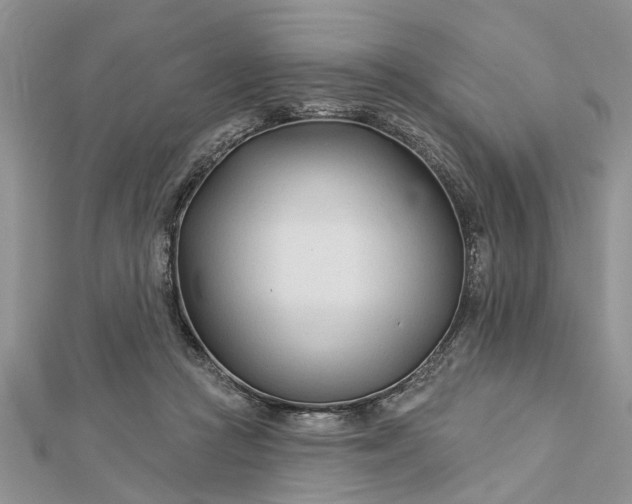 X0000112460361200908311334