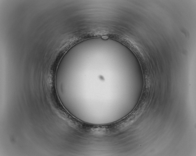 X0000112460362200908311334