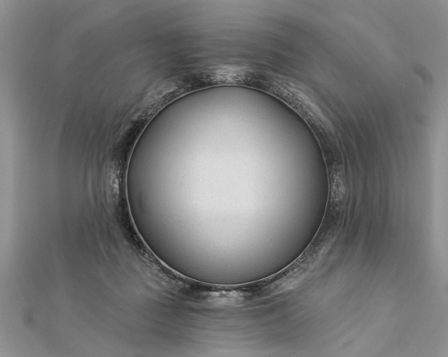 X0000112460363200908311334