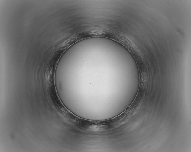 X0000112460364200908311334