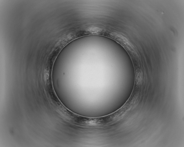 X0000112460365200908311334