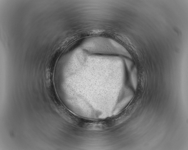 X0000112460366200908311334