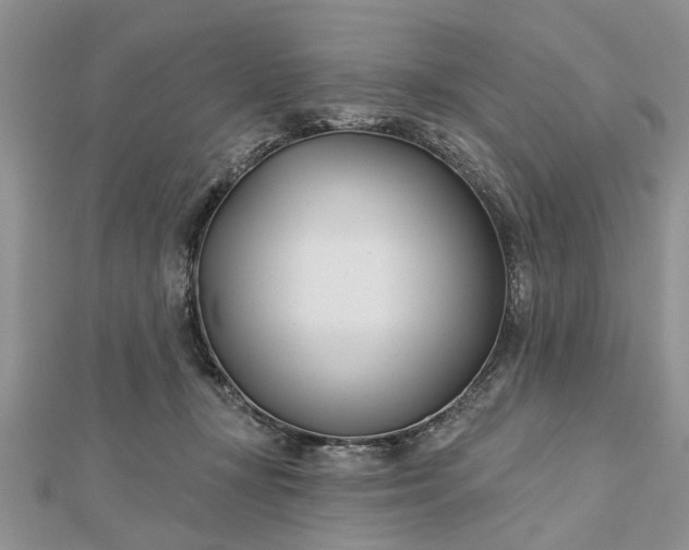 X0000112460367200908311334