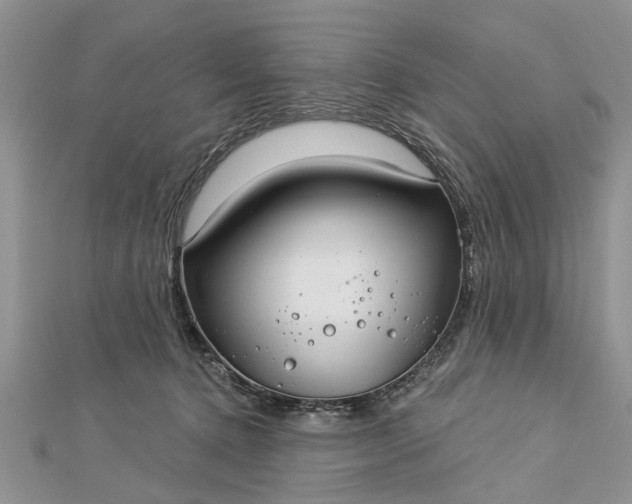 X0000112460368200908311334