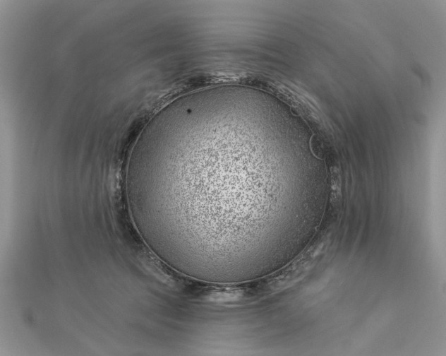 X0000112460369200908311334