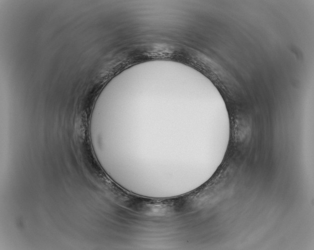 X0000112460370200908311334