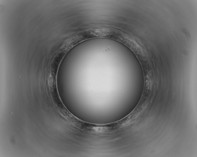 X0000112460371200908311334