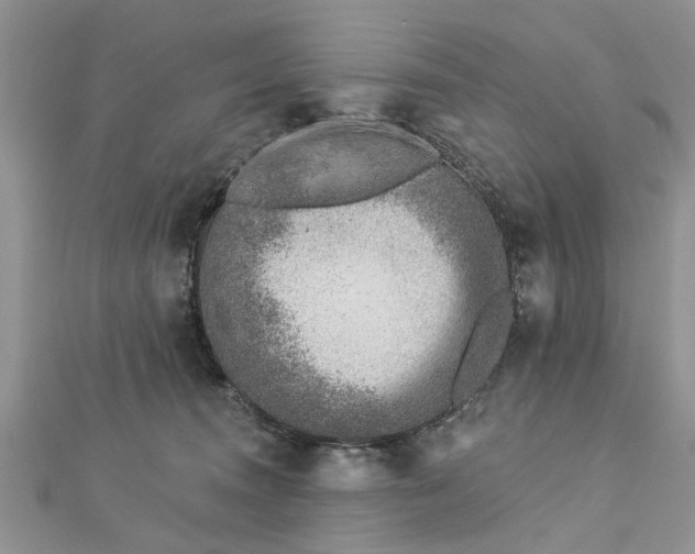 X0000112460372200908311334