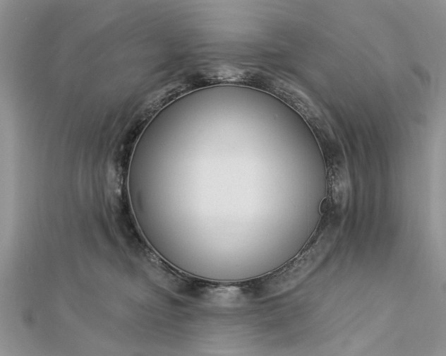 X0000112460374200908311334