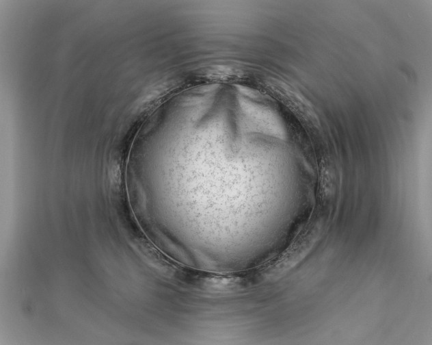 X0000112460375200908311334