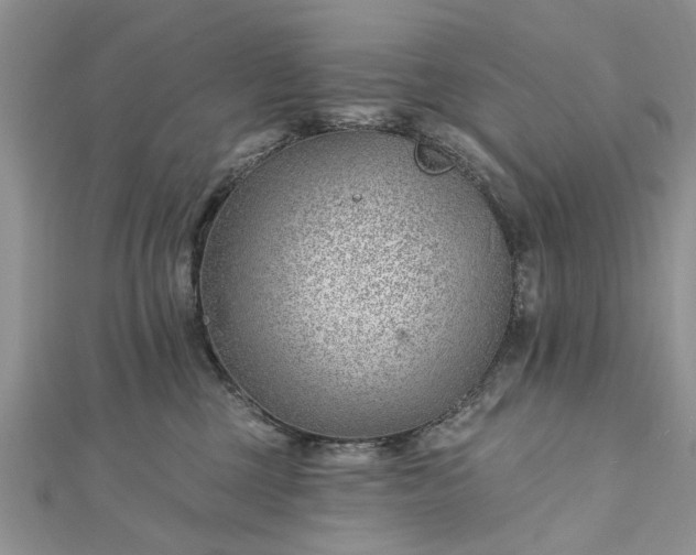 X0000112460377200908311334