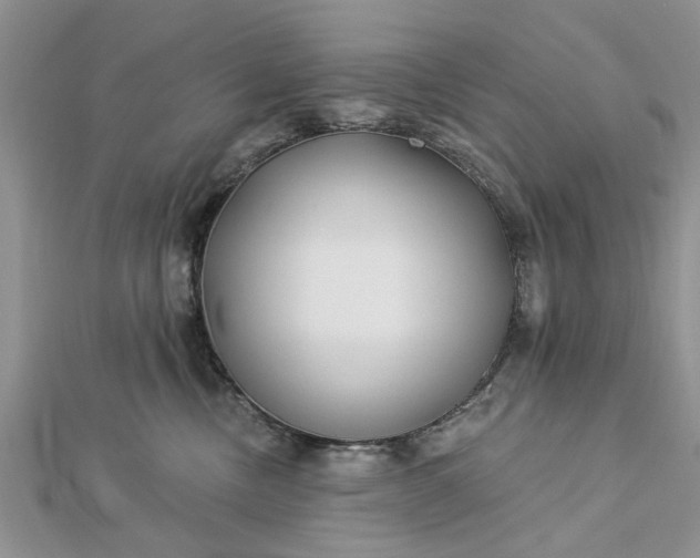 X0000112460378200908311334