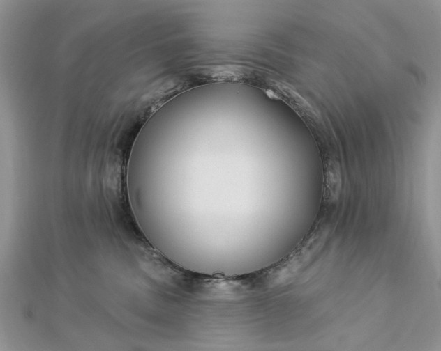 X0000112460379200908311334