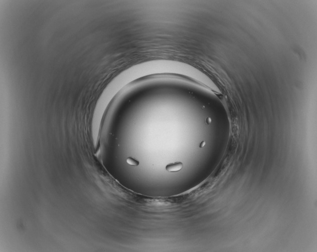 X0000112460380200908311334