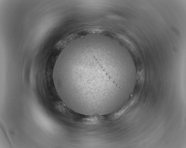 X0000112460381200908311334