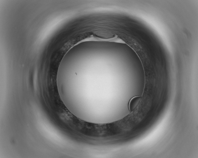 X0000112460382200908311334