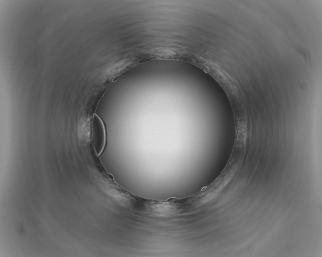 X0000112460383200908311334