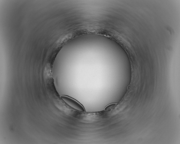 X0000112460384200908311334