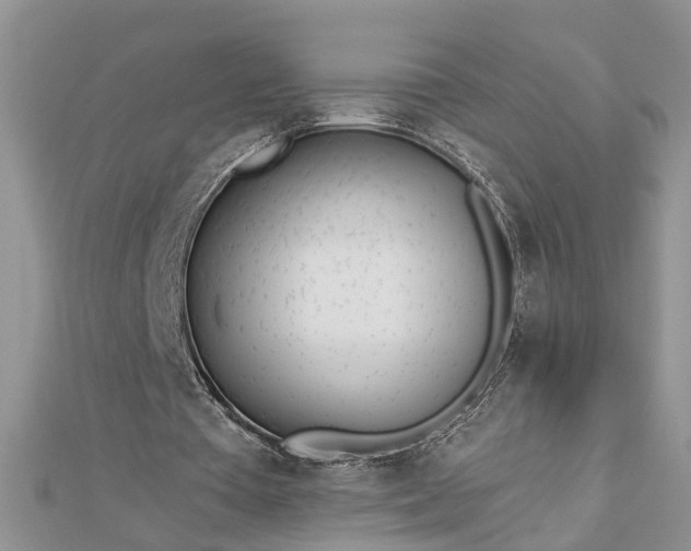 X0000112460385200908311334