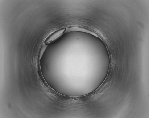 X0000112460386200908311334