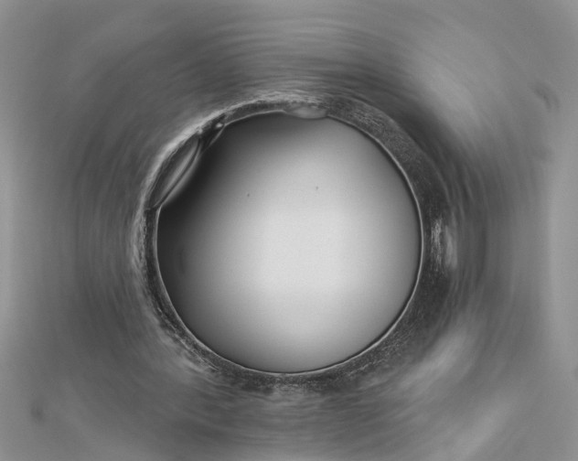 X0000112460388200908311334