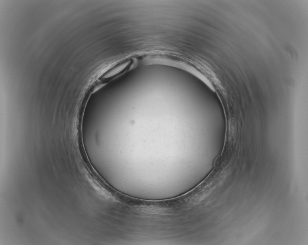 X0000112460389200908311334