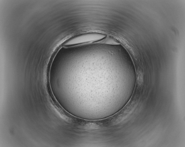 X0000112460390200908311333