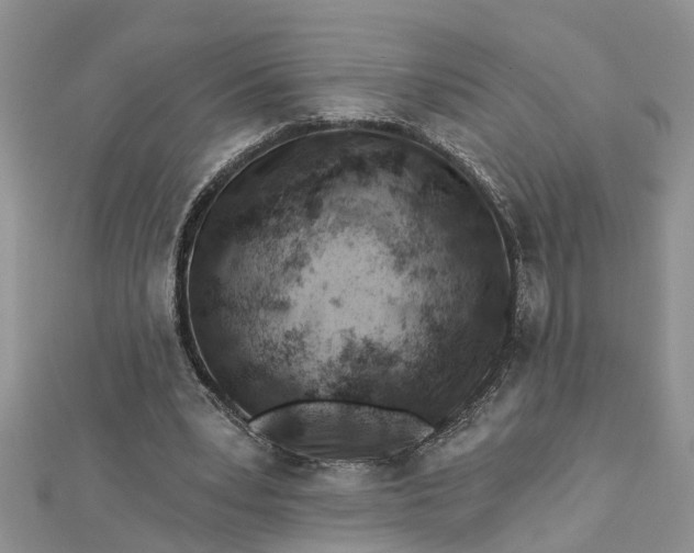 X0000112460391200908311333