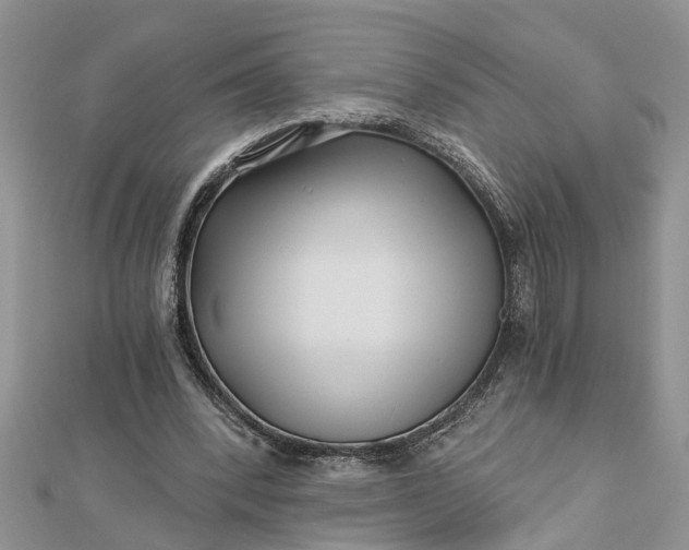 X0000112460392200908311333