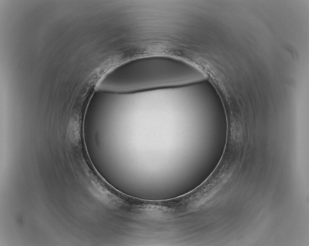 X0000112460393200908311333