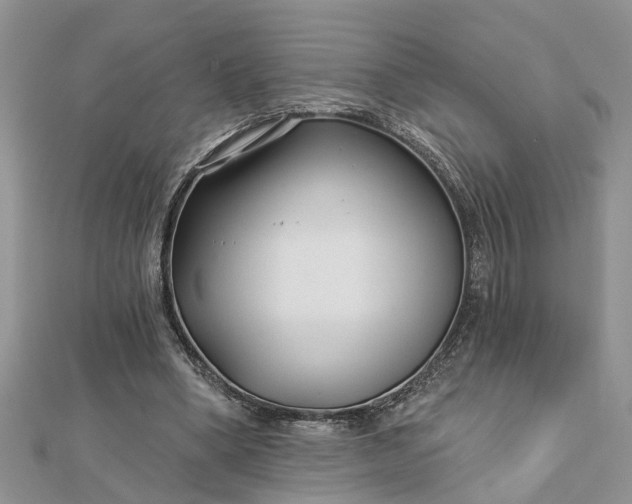 X0000112460394200908311333