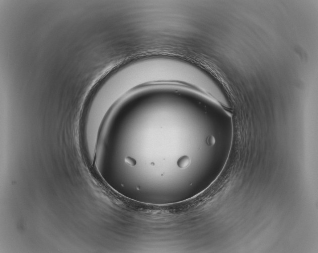 X0000112460395200908311333