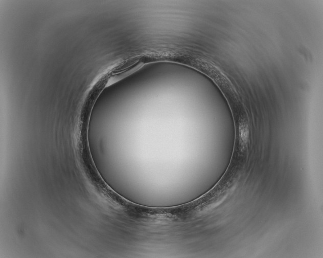 X0000112460396200908311333